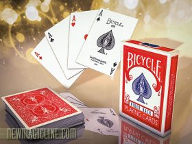 12 Kartentricks kann mit dem Stripper vorführen.