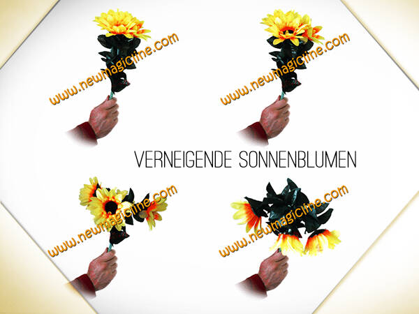 xx-Verneigende Sonnenblumen 4 Blüten - Zaubertrick