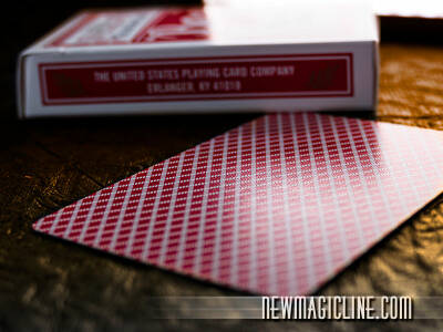 Bee Deck Spielkarten in Rot oder Blau - das bevorzugte Deck in Casinos