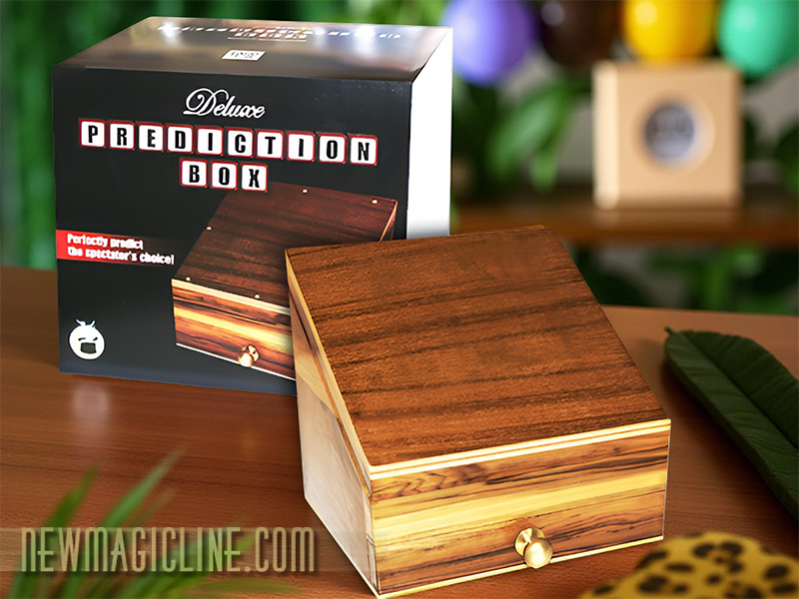 Prediction Box small by Maurizio Visconti / Vorhersage Box