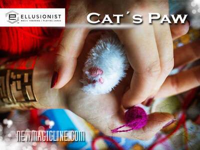 Cat’s Paw - magische Katzenpfote - Zaubertrick