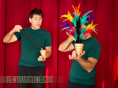 Vanishing Wand to Bouquet – Zauberstab verwandelt sich in Strauß