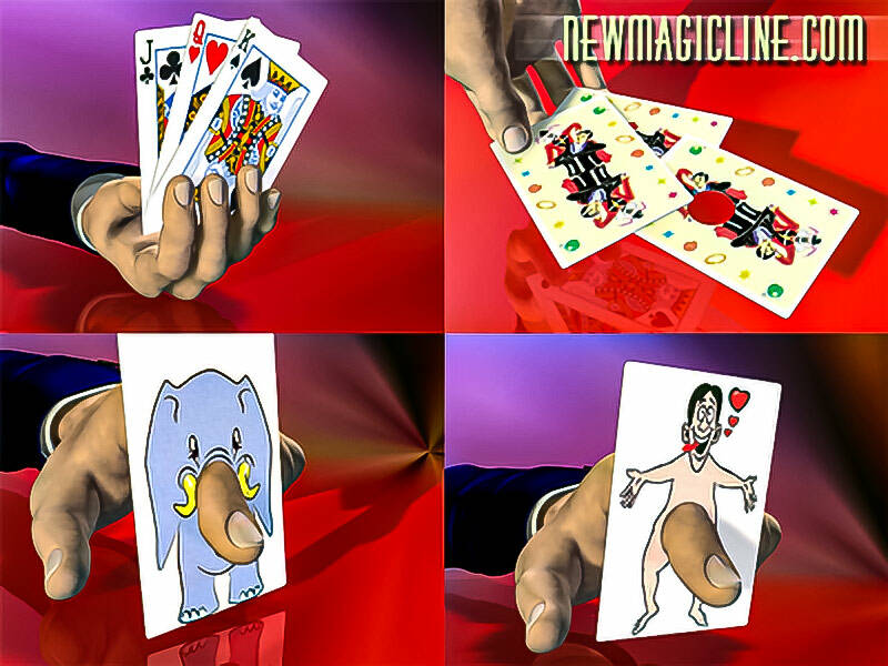 Pikant mit Rüsselkarte - Trickkarten