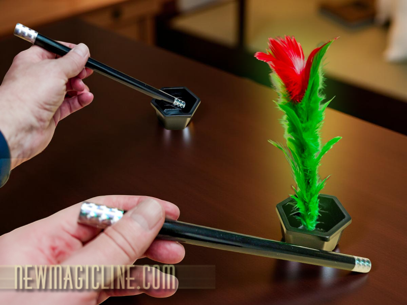 Erscheinende Federblume - Zaubertrick für Kinder