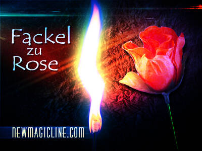 Bei dem Zaubertrick Fakel zu Rose hatlen Sie eine brennende Fackel in der Hand, die sich im nächsten Augenblick in eine Rose verwandelt.